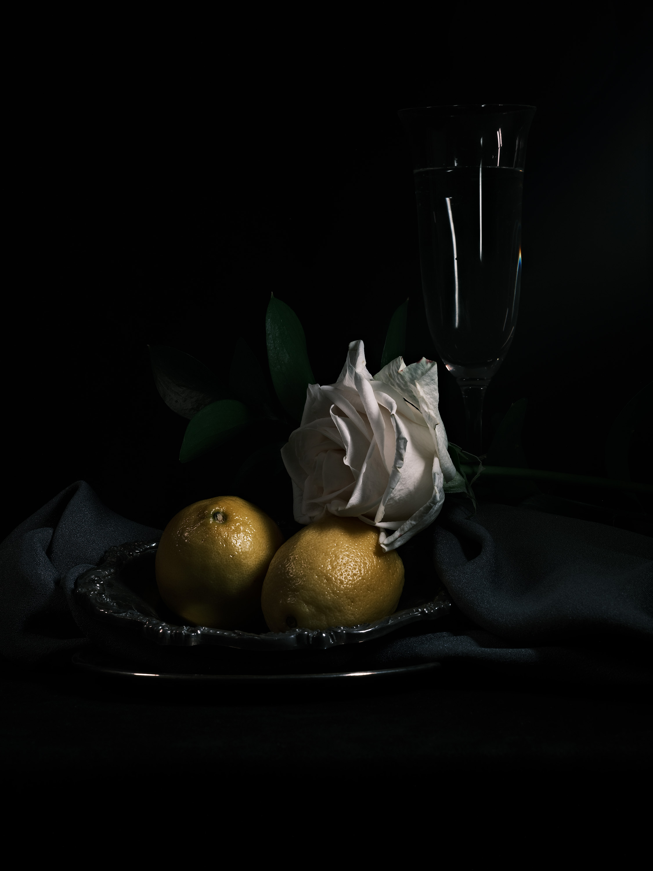 Still life photography using flowers and lemons