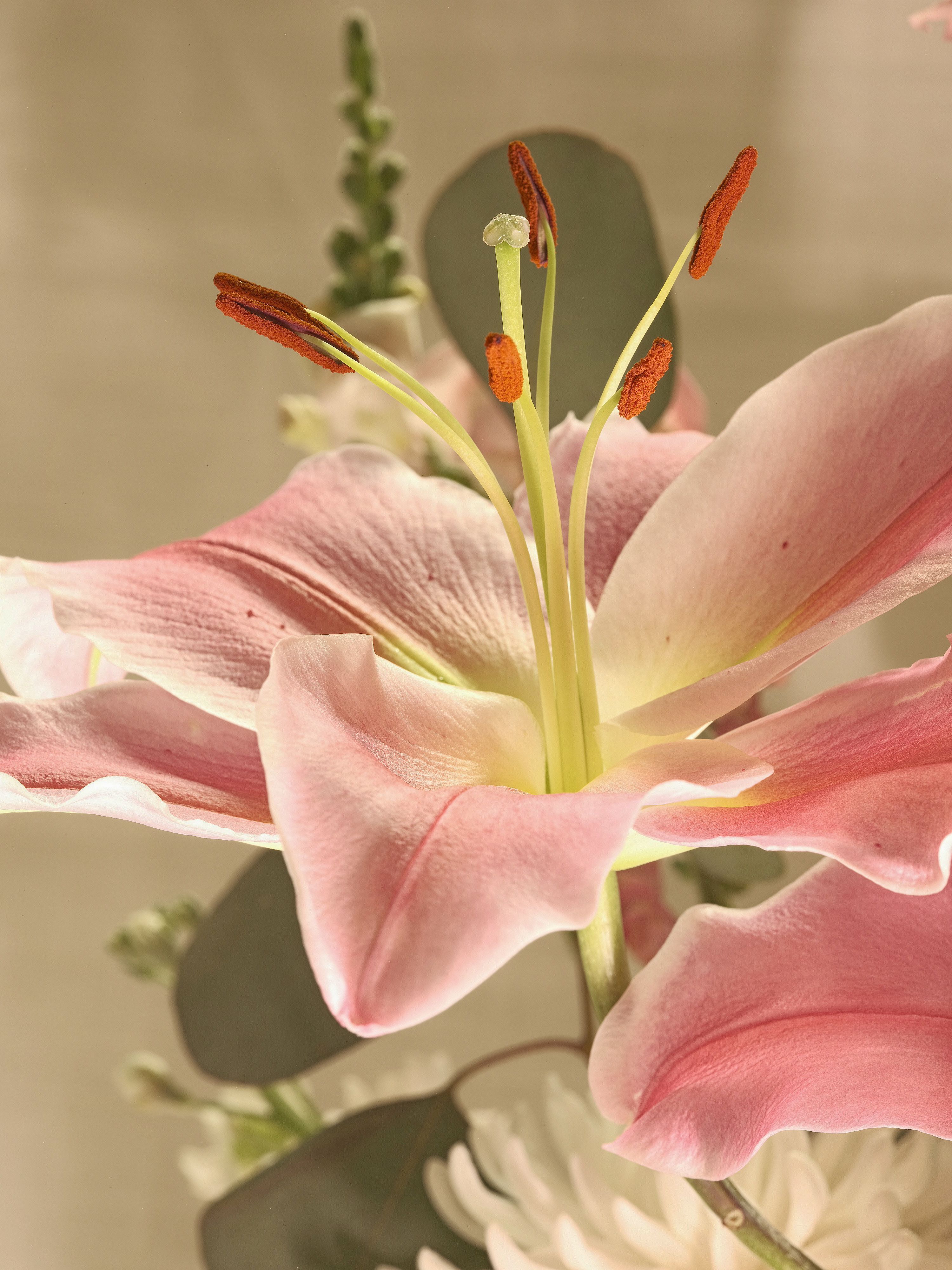 Lilies and assorted floral macro photography in Fort Worth Texas