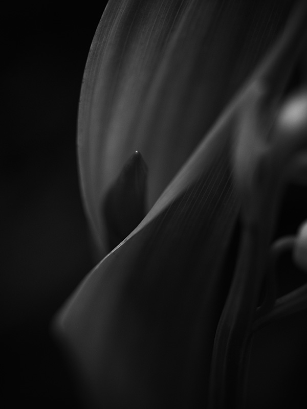 “A