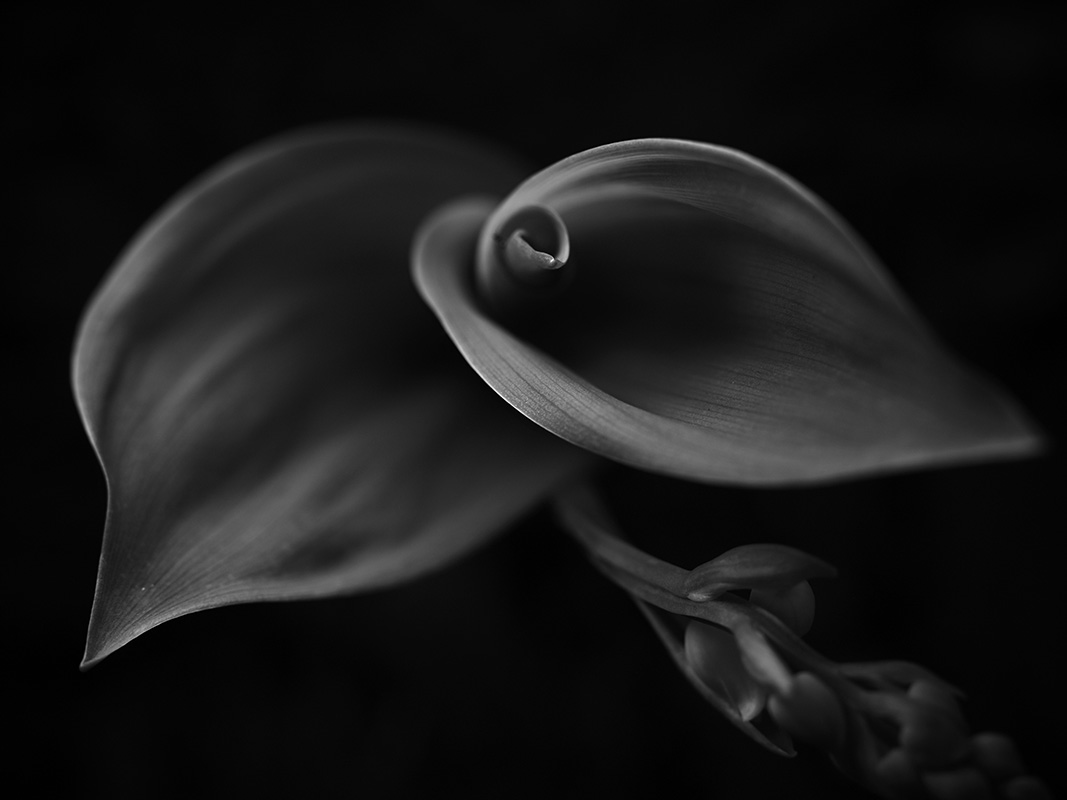 “A