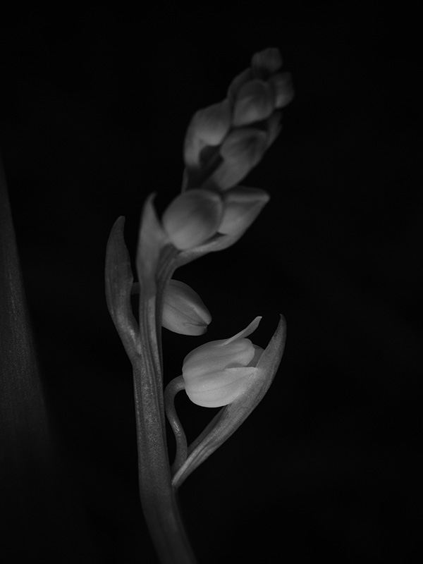 “A