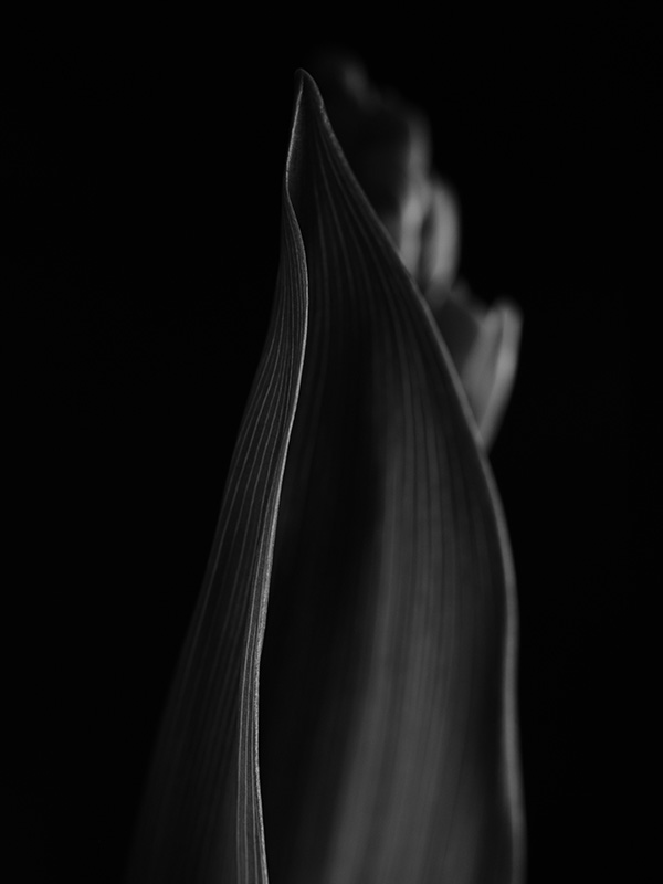 “A