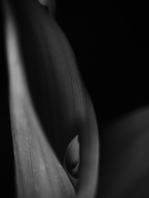“A