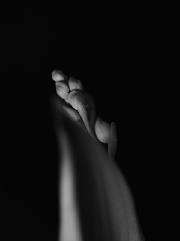“A