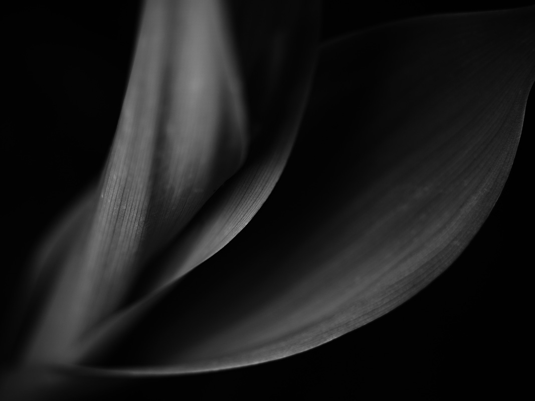 “A