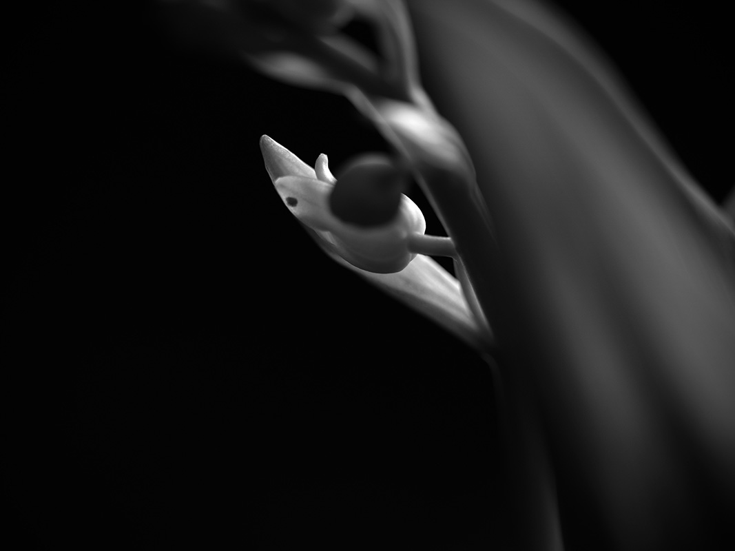 “A