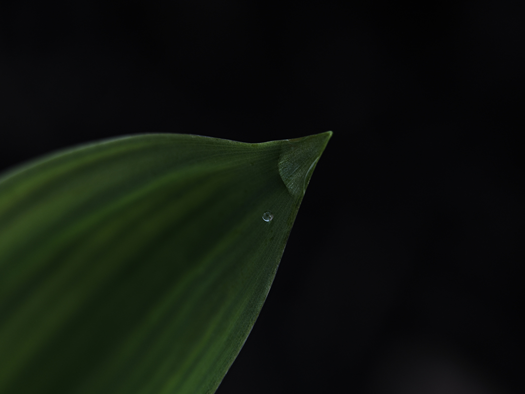 “A