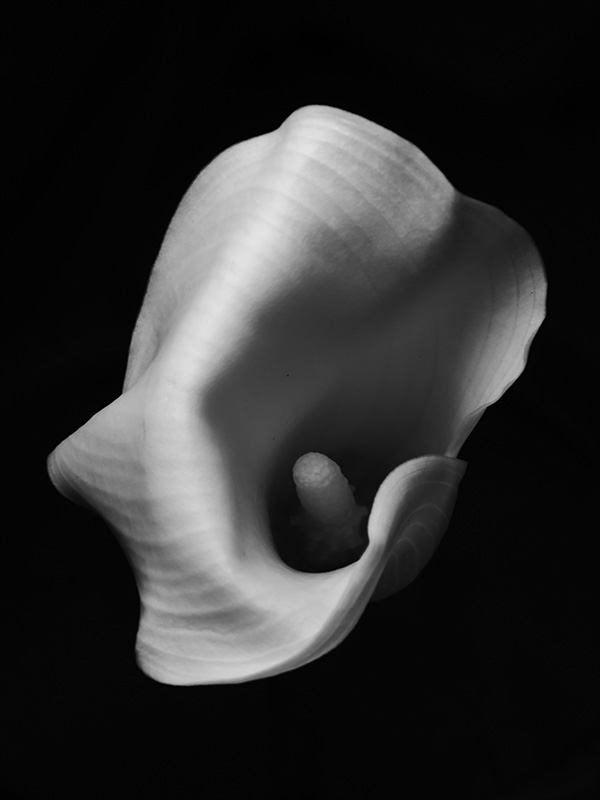 “A