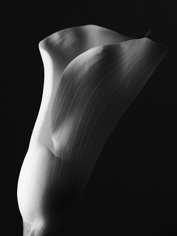 “A