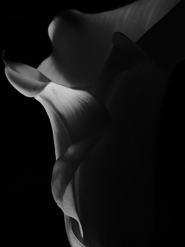 “A