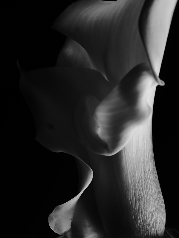 “A