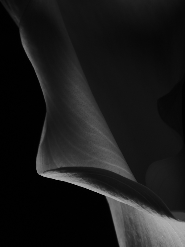 “A
