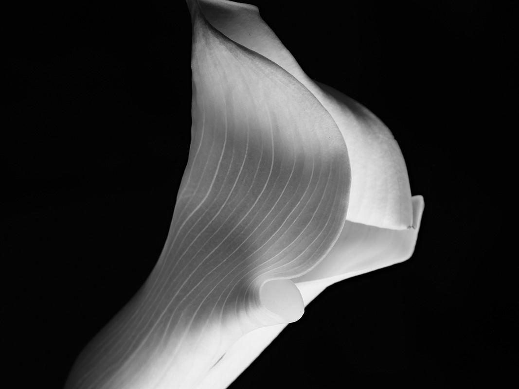 “A