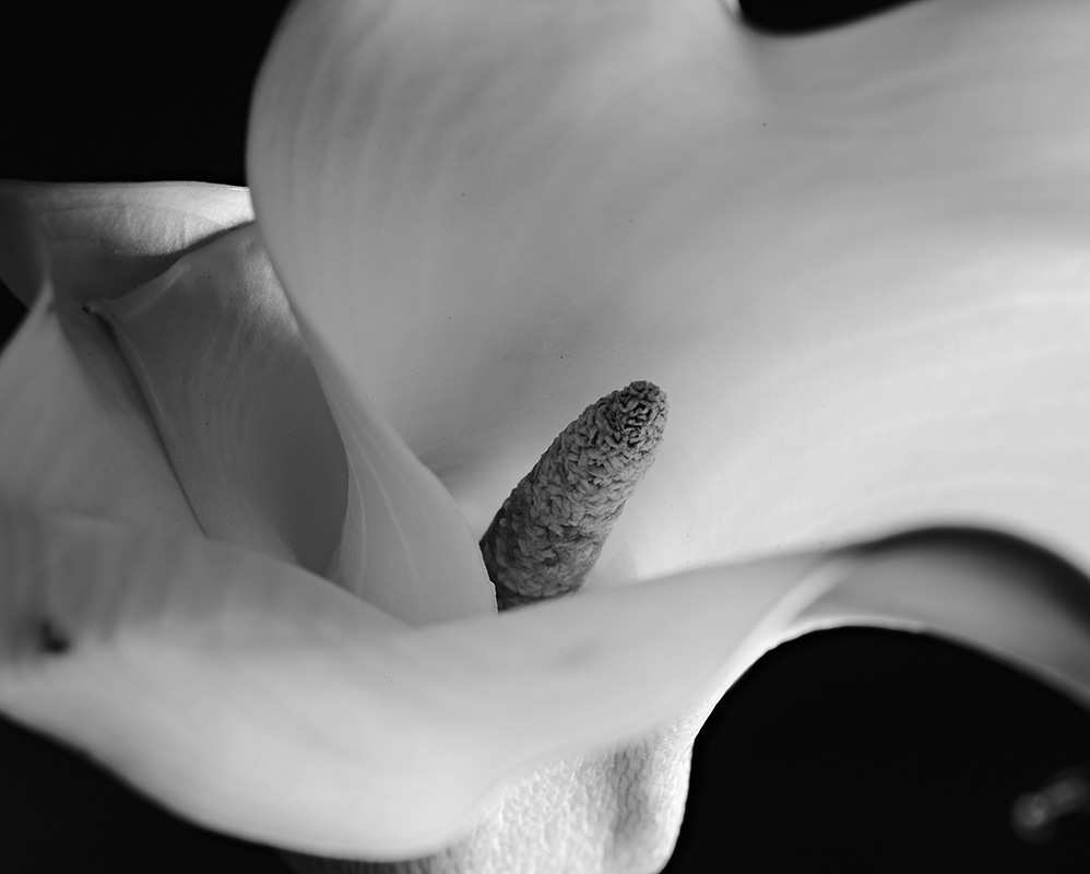 “A