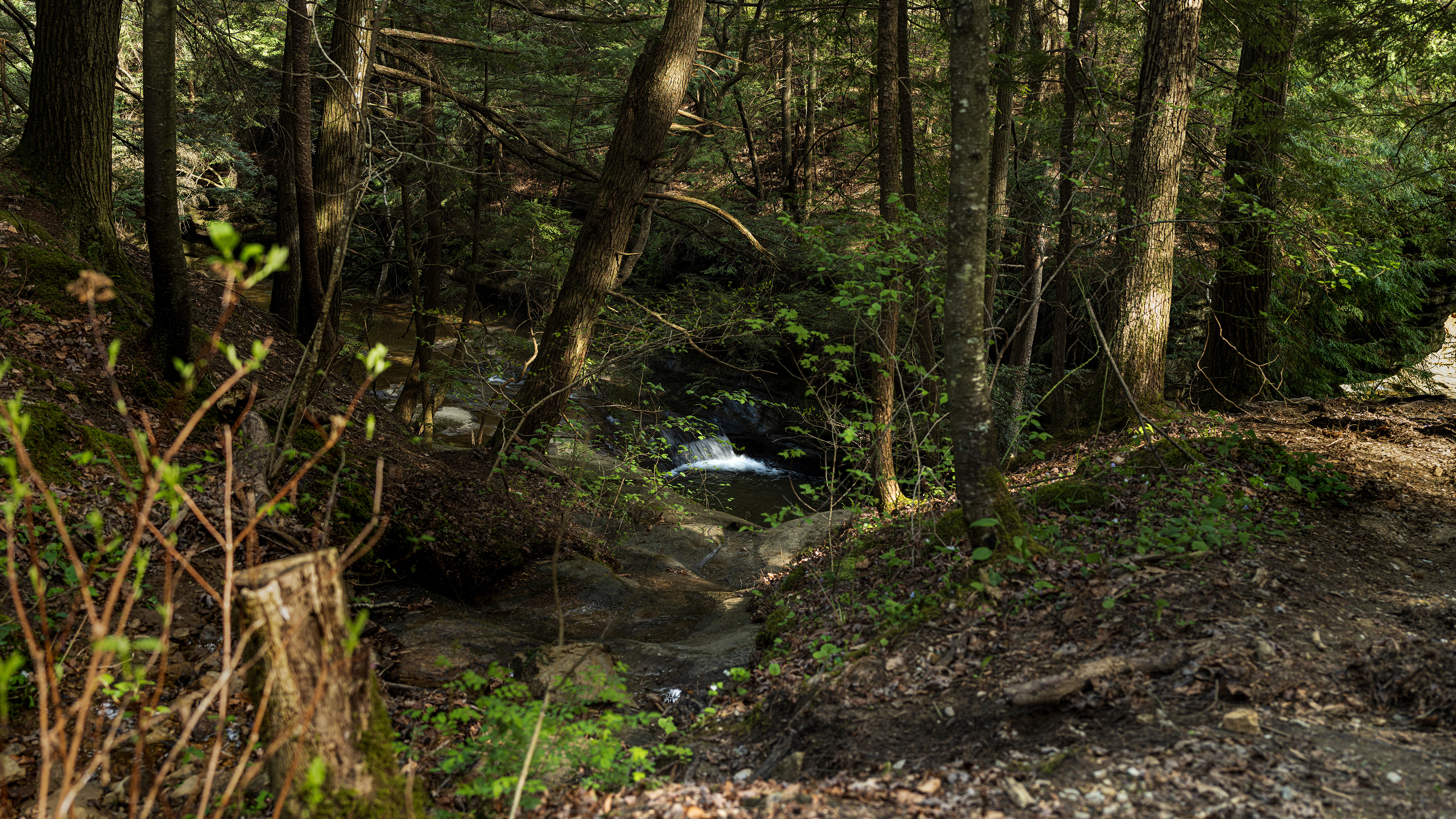 Landscape color photography sample feature depicting a waterfall in North Ohio