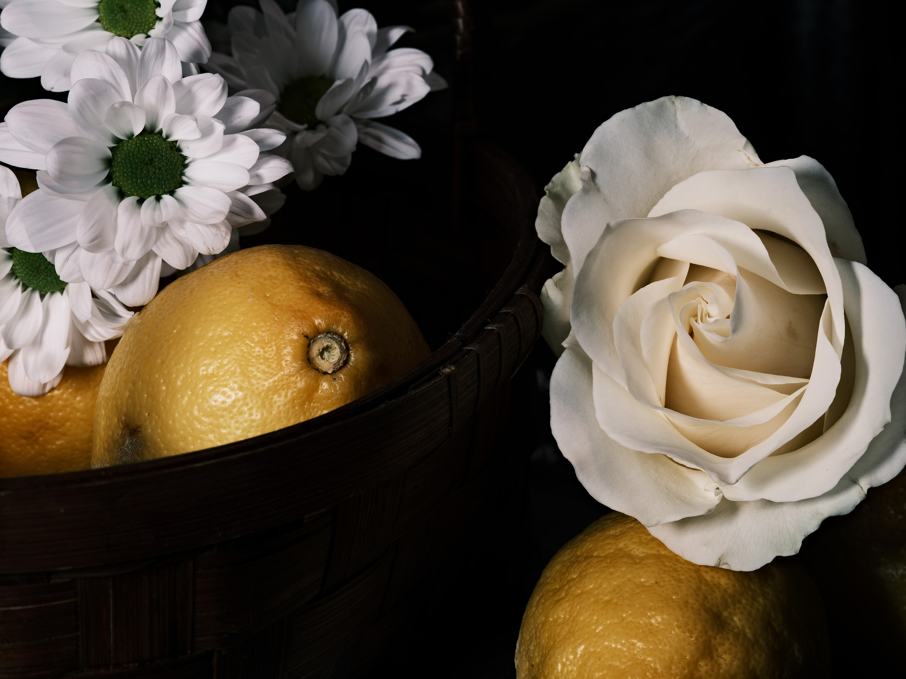 Still life photography using flowers and lemons