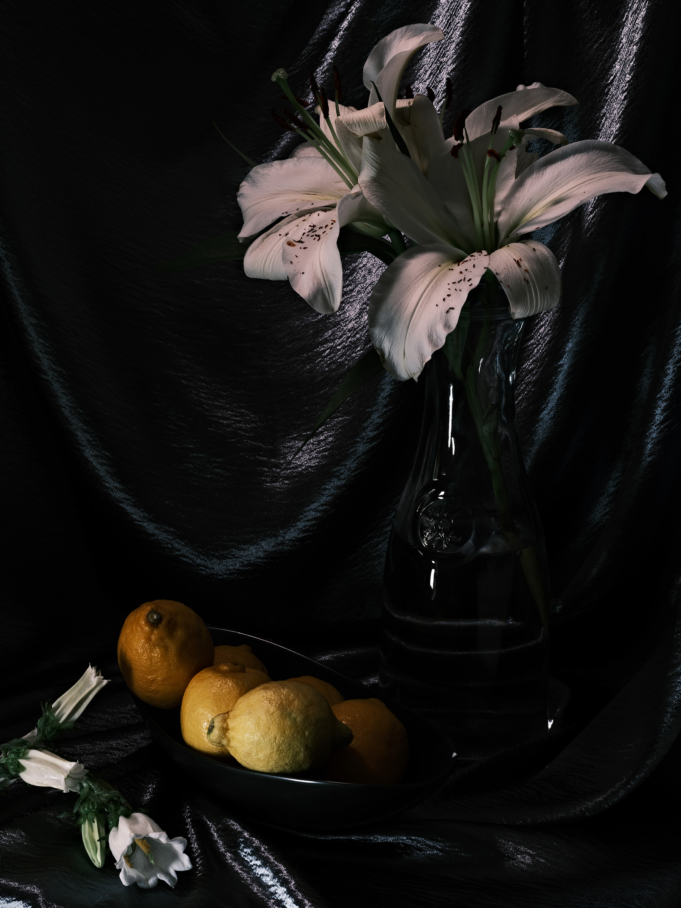 Still life photography using flowers and lemons