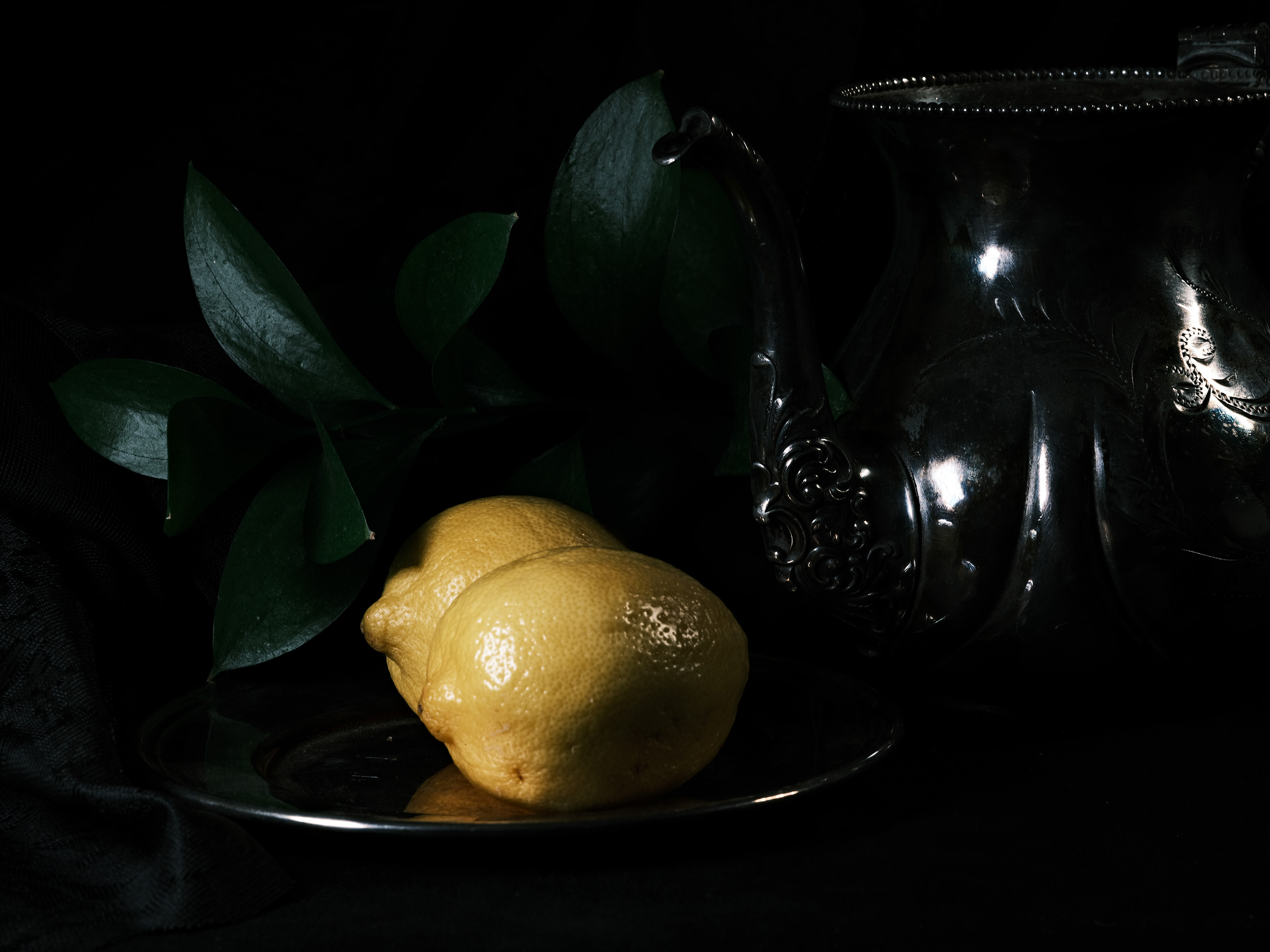 Still life photography using flowers and lemons