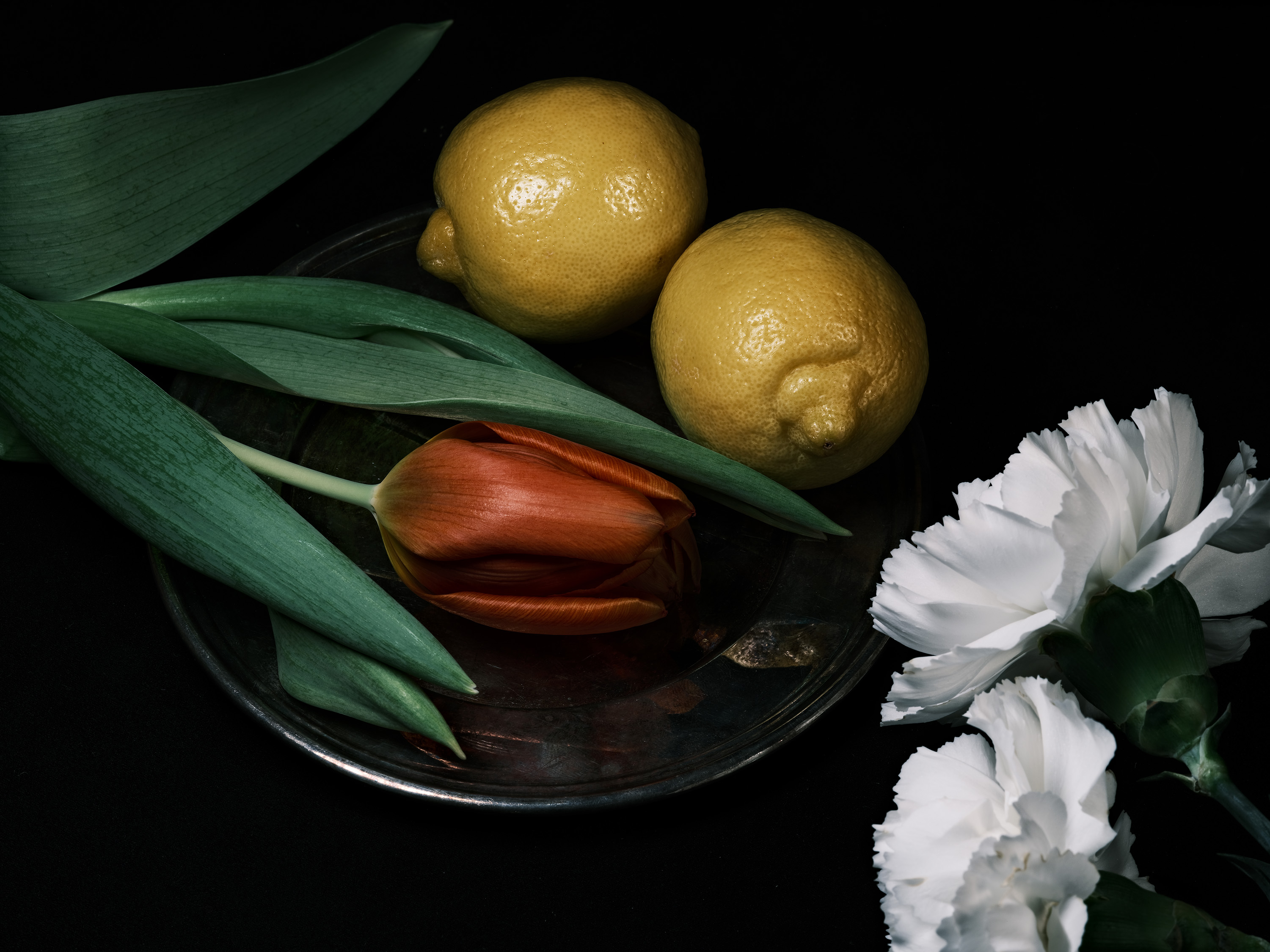 Still life photography using flowers and lemons