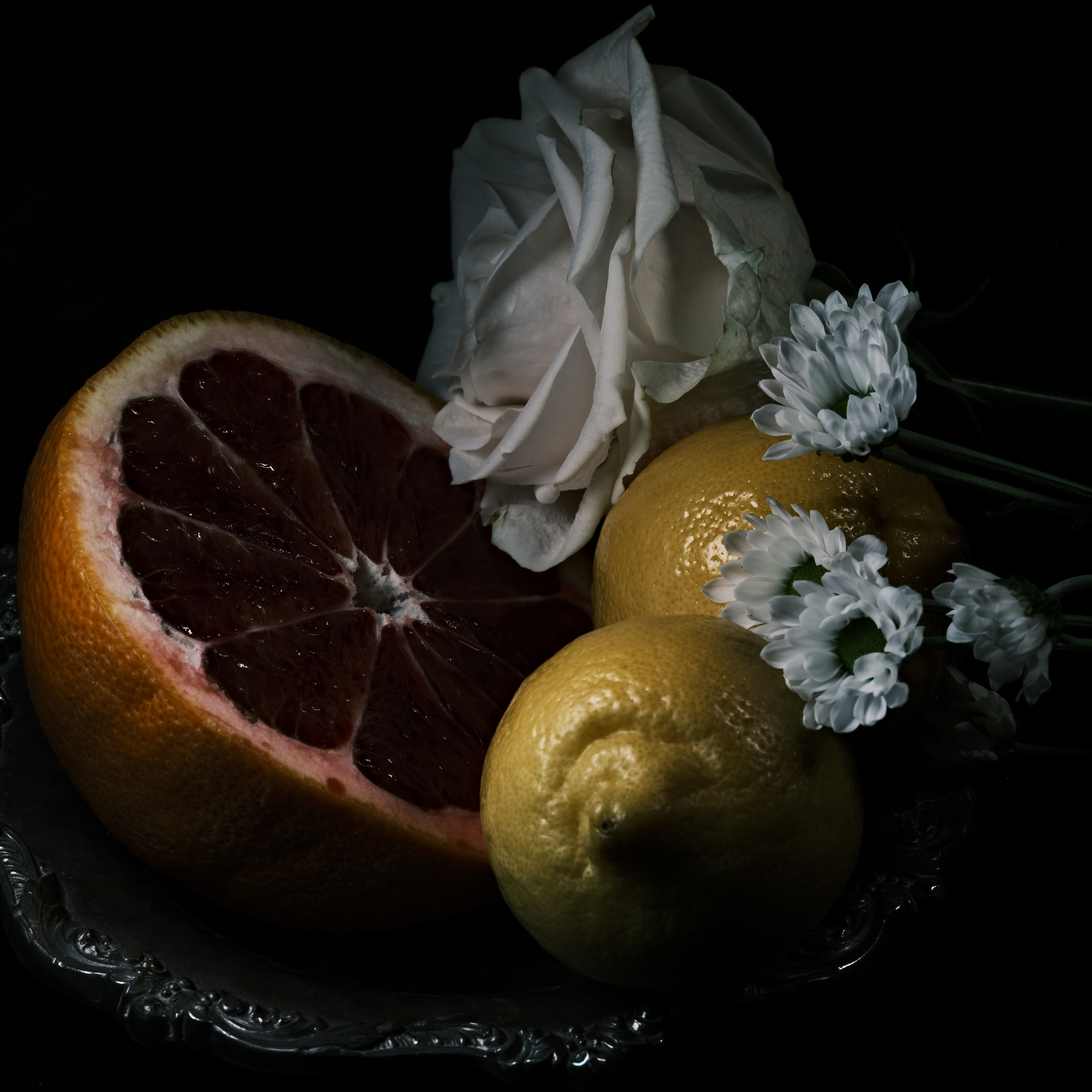 Still life photography using flowers and lemons