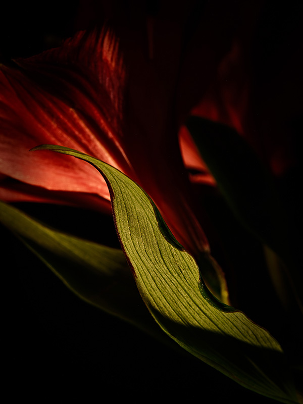 “A