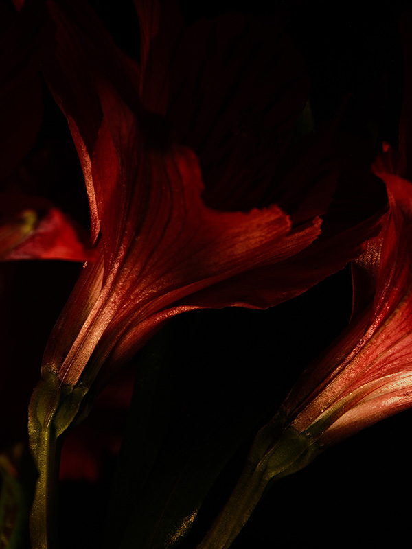 “A