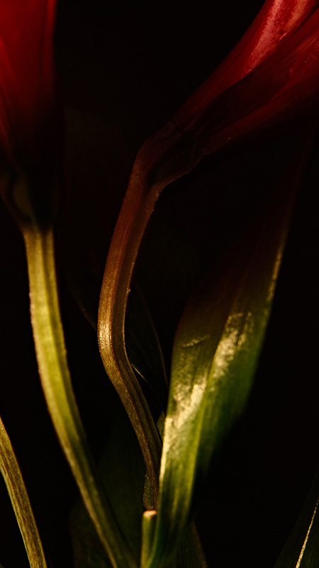 “A