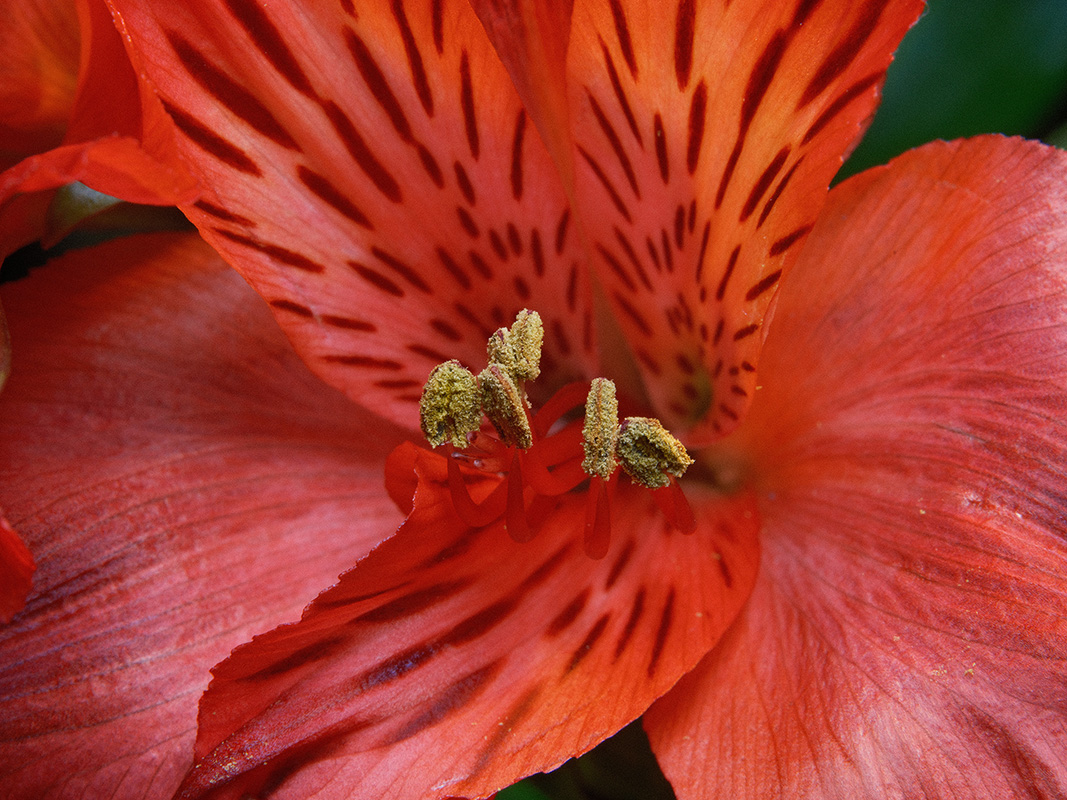 “A