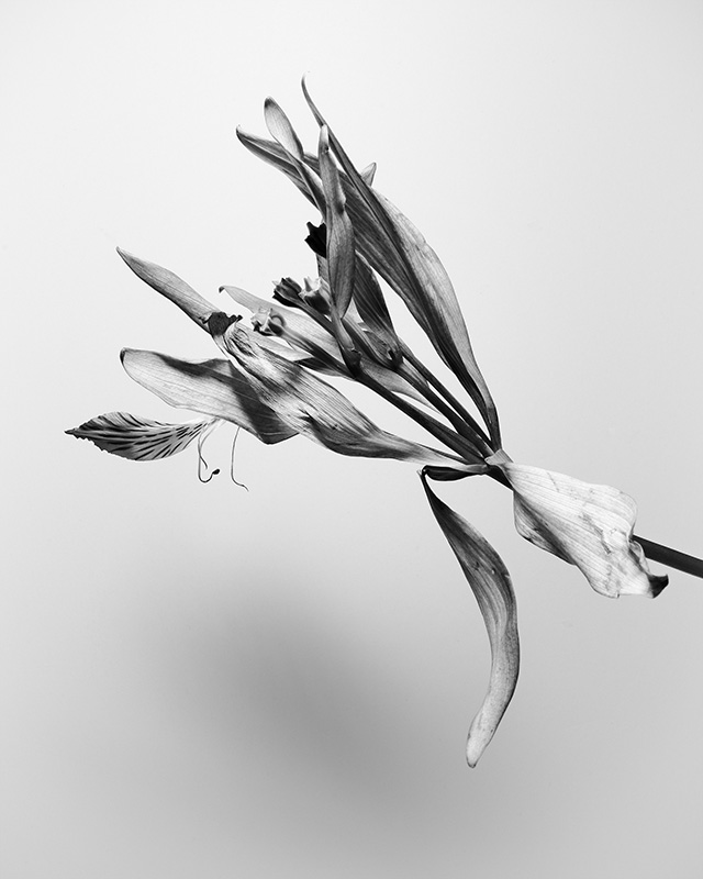 “A