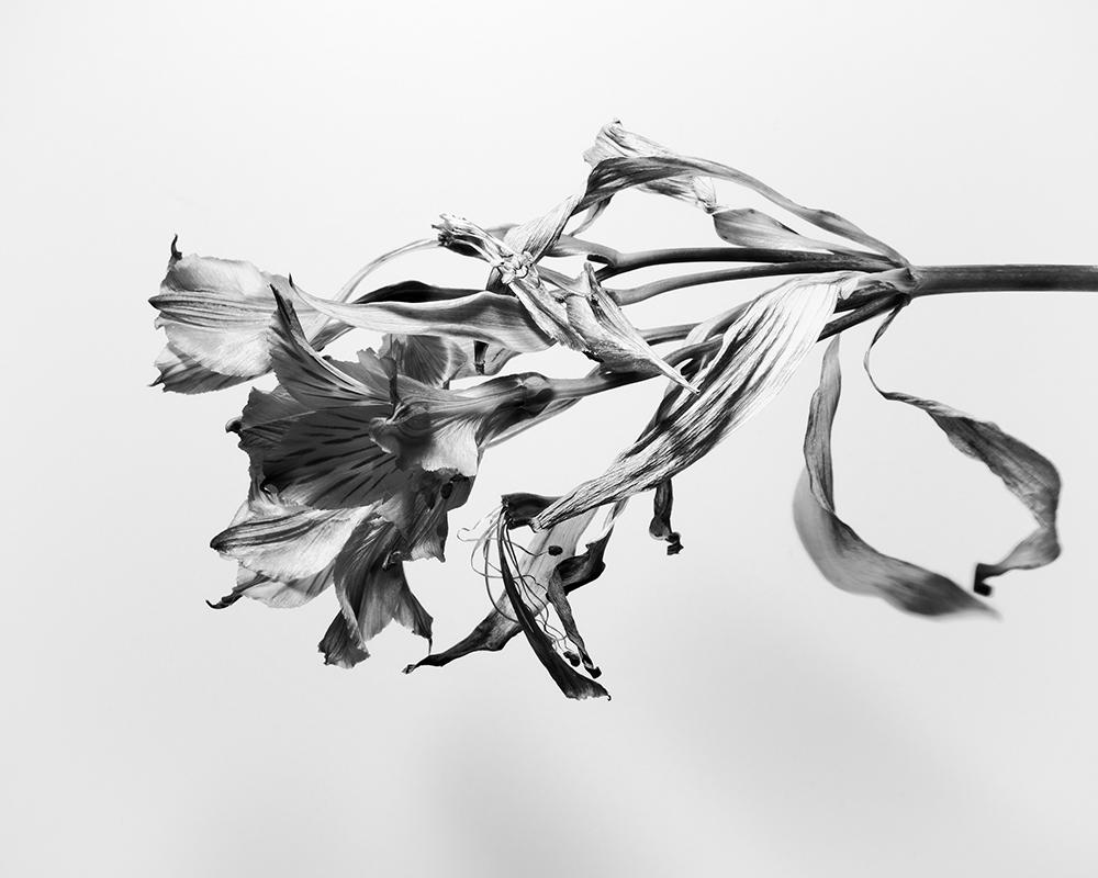 “A