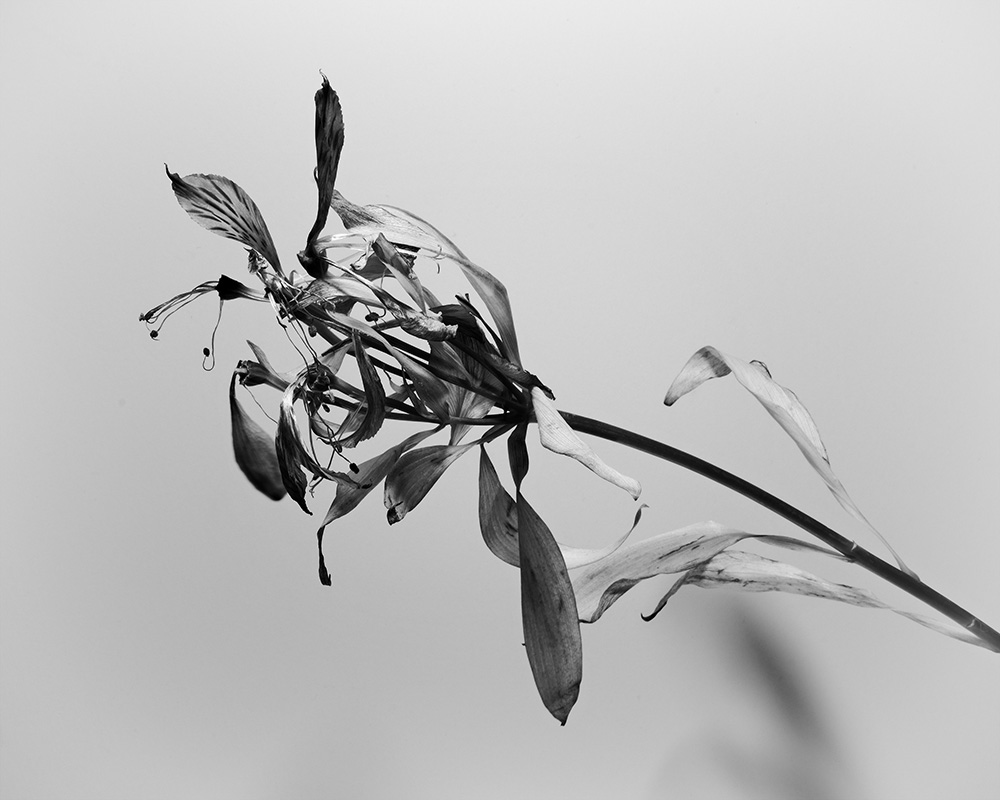 “A