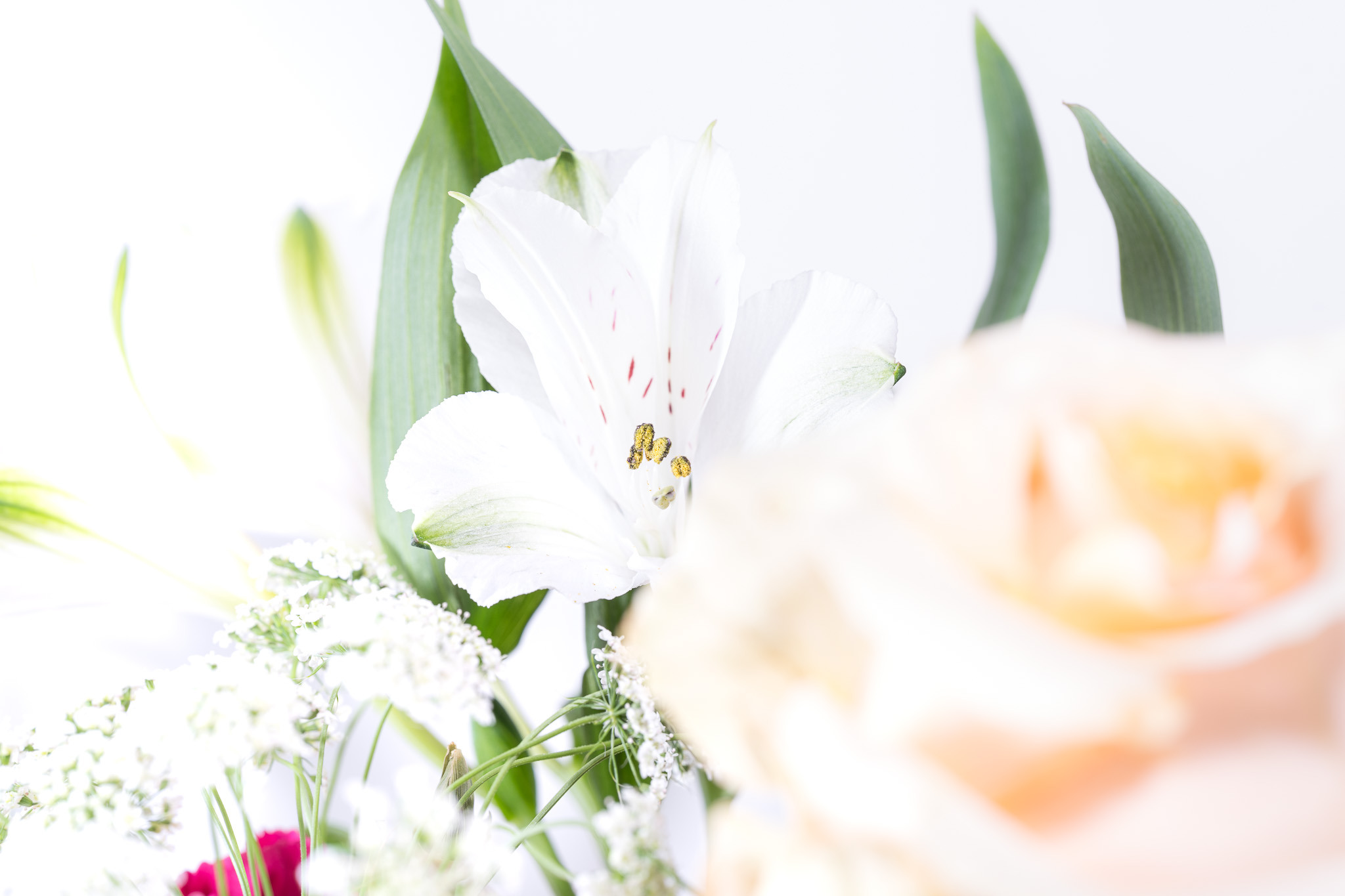 Flower Bouquet of Roses and Mums on a white background No. 3