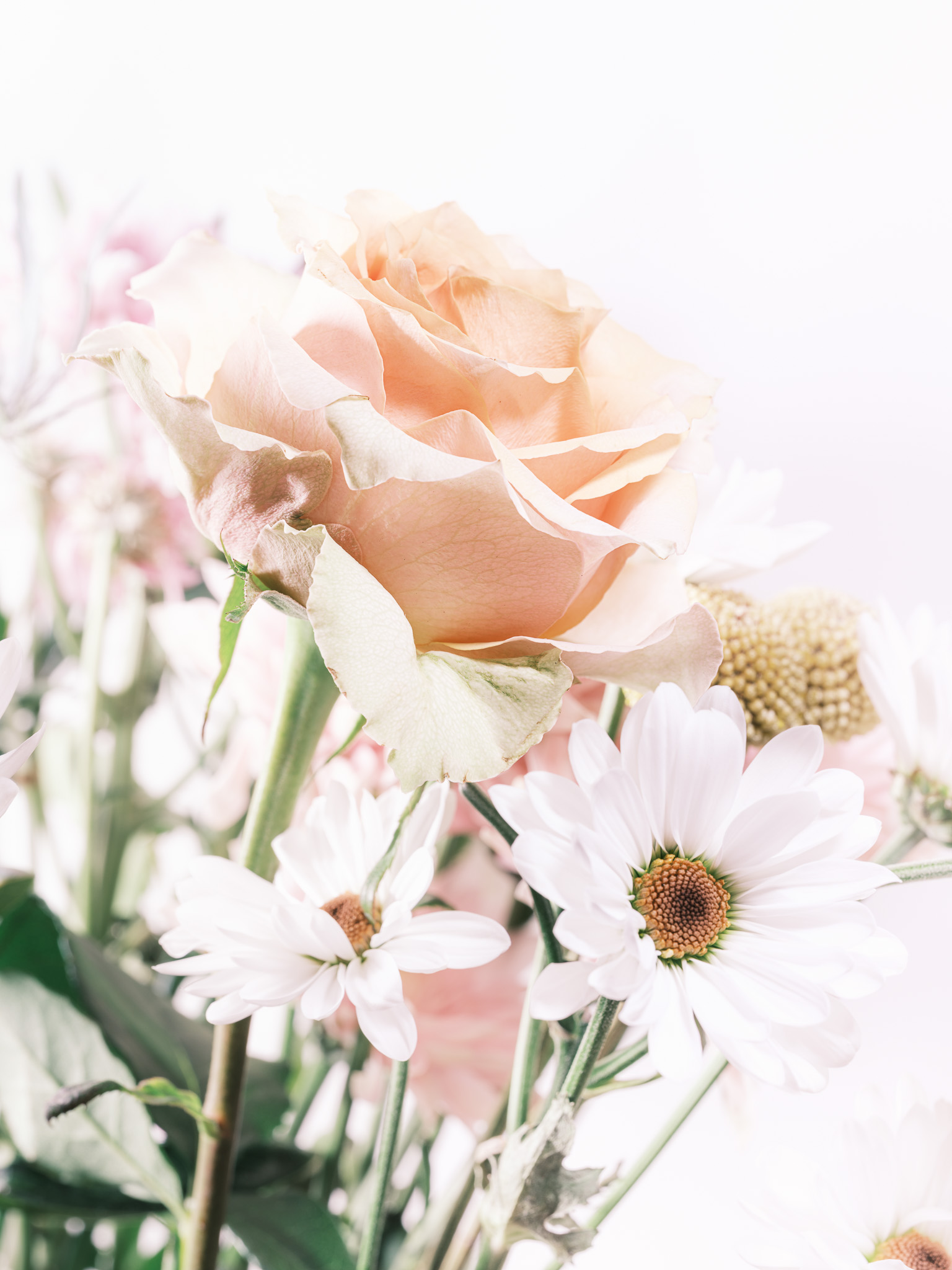 Flower Bouquet of Roses and Mums on a white background No. 6