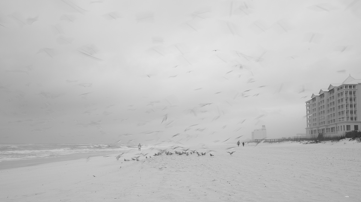 Black and White photography of the beach in Pensacola Florida