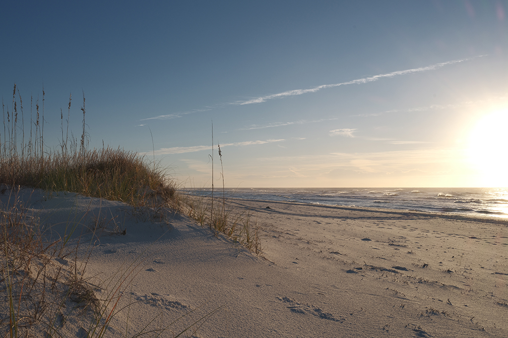 Color Photography of grass on sand