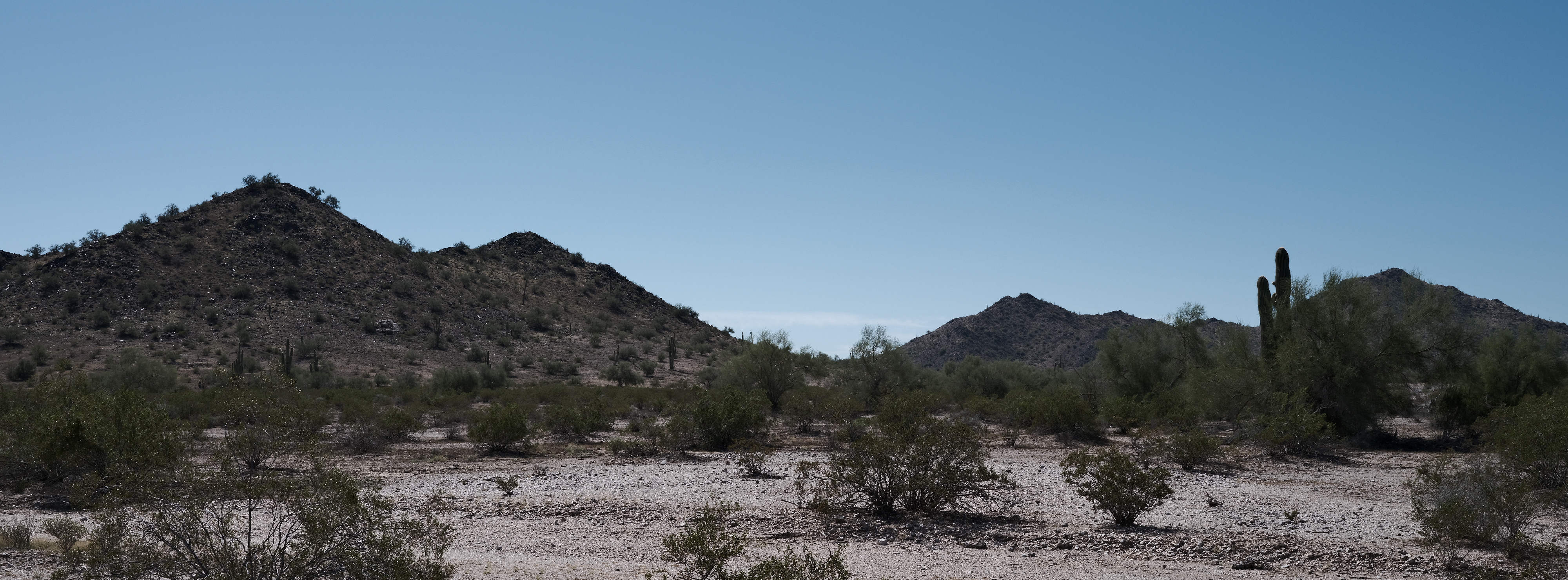 Landscape photo of