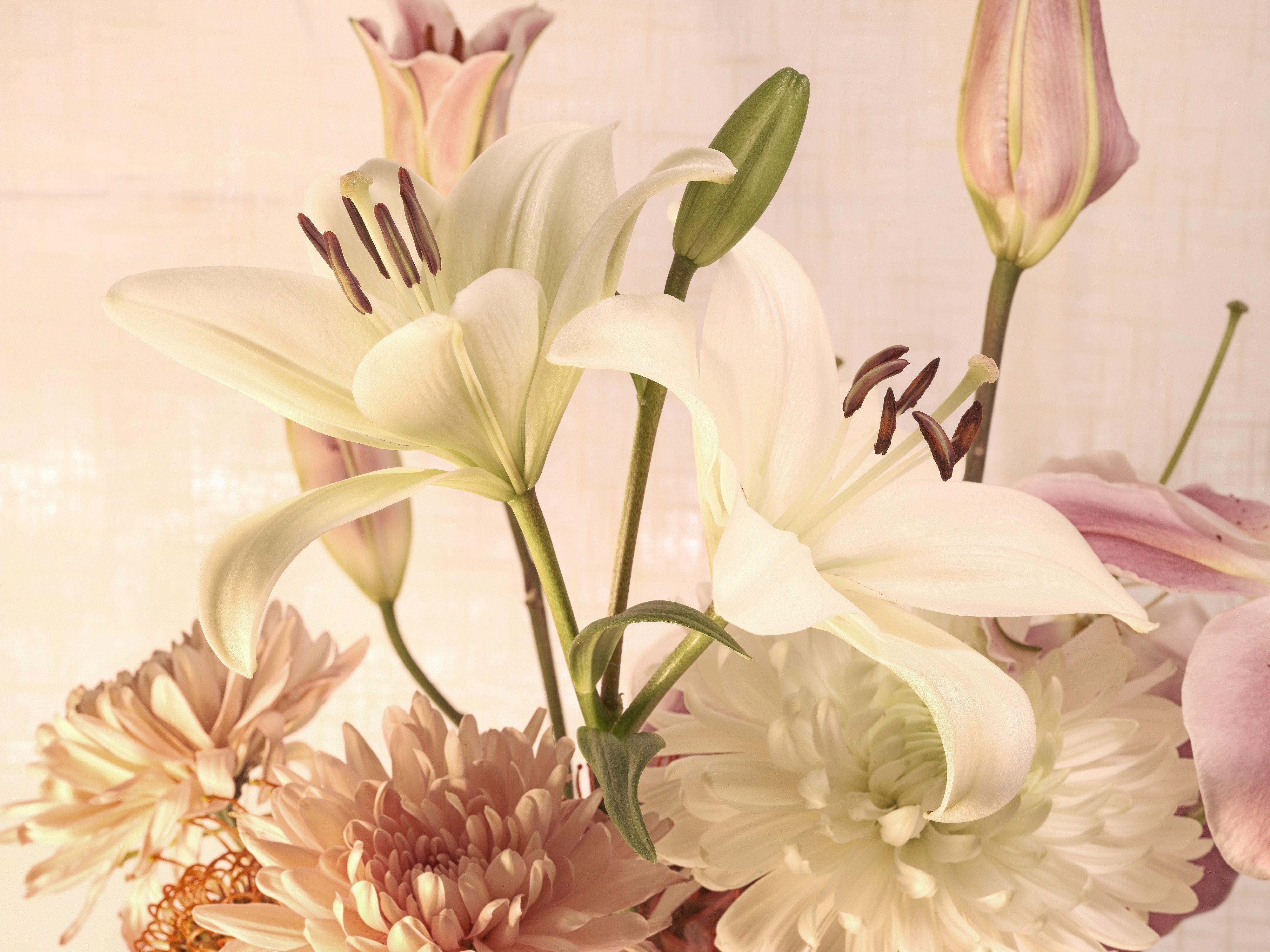 Lilies and assorted floral macro photography in Fort Worth Texas