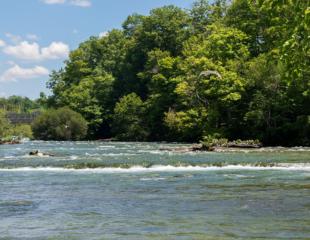 Photography of more Niagara Falls rapids