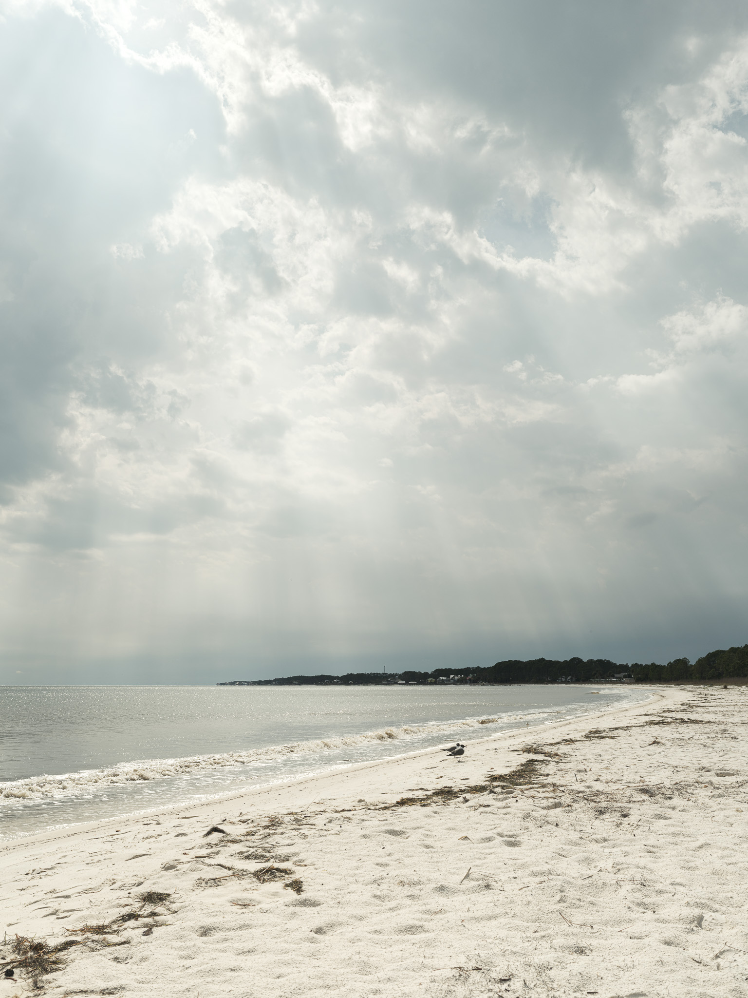 The Forgotten Coast Ocean Thumbnail