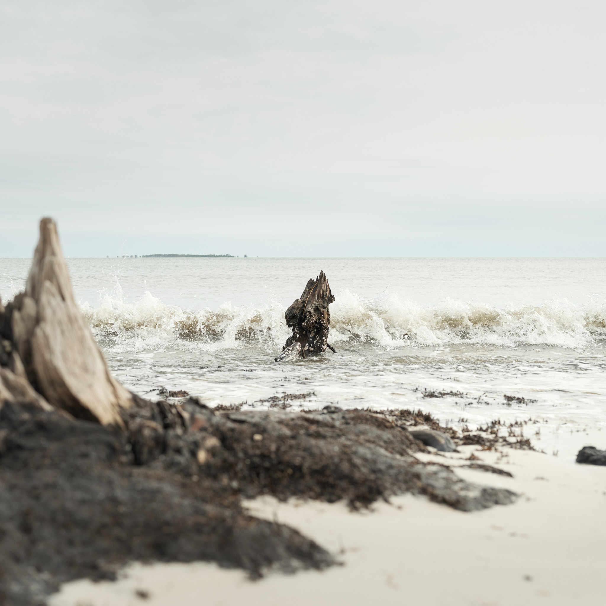 Picture of water hitting a log floating in the ocean in Florida