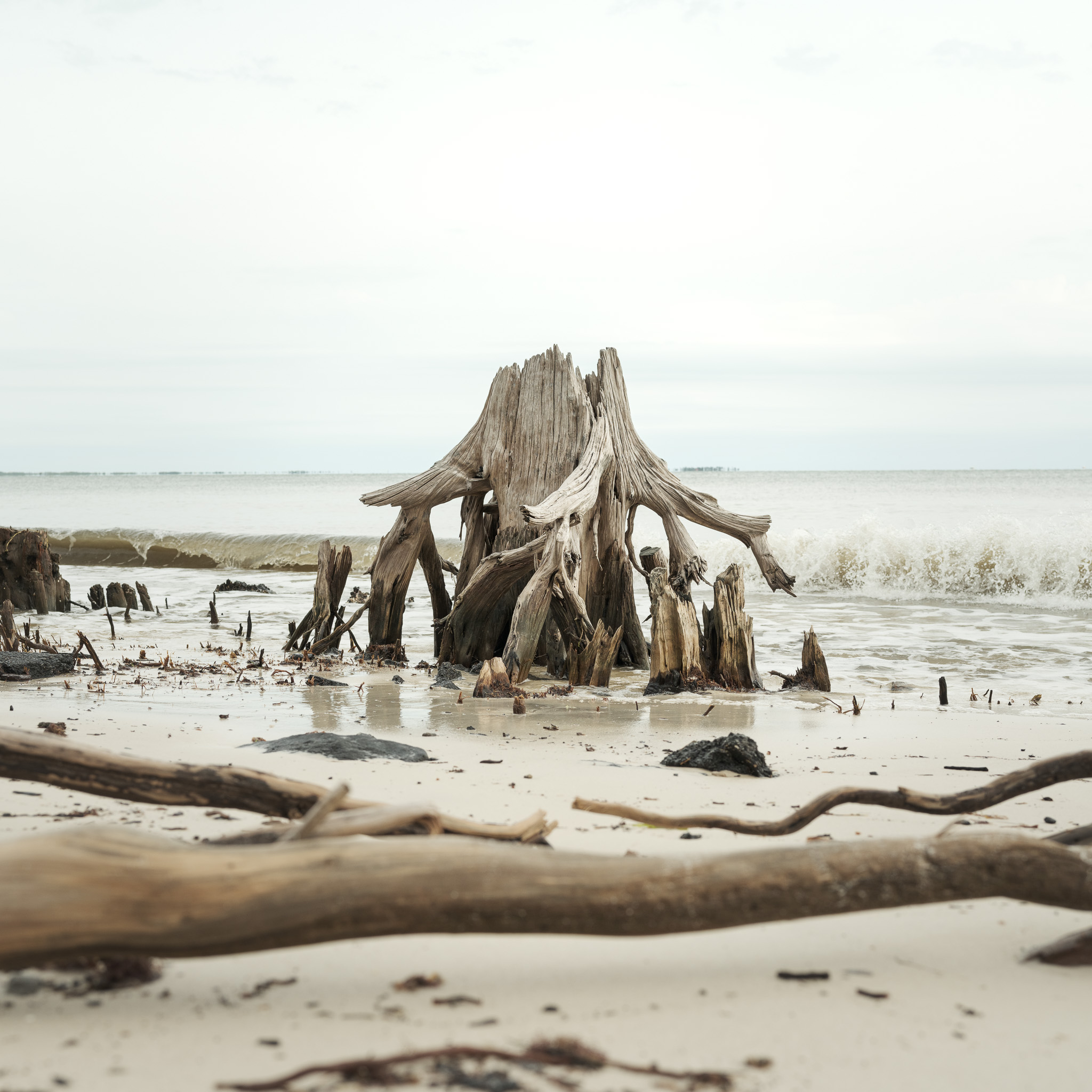 Picture of sand, grass, ocean in Florida