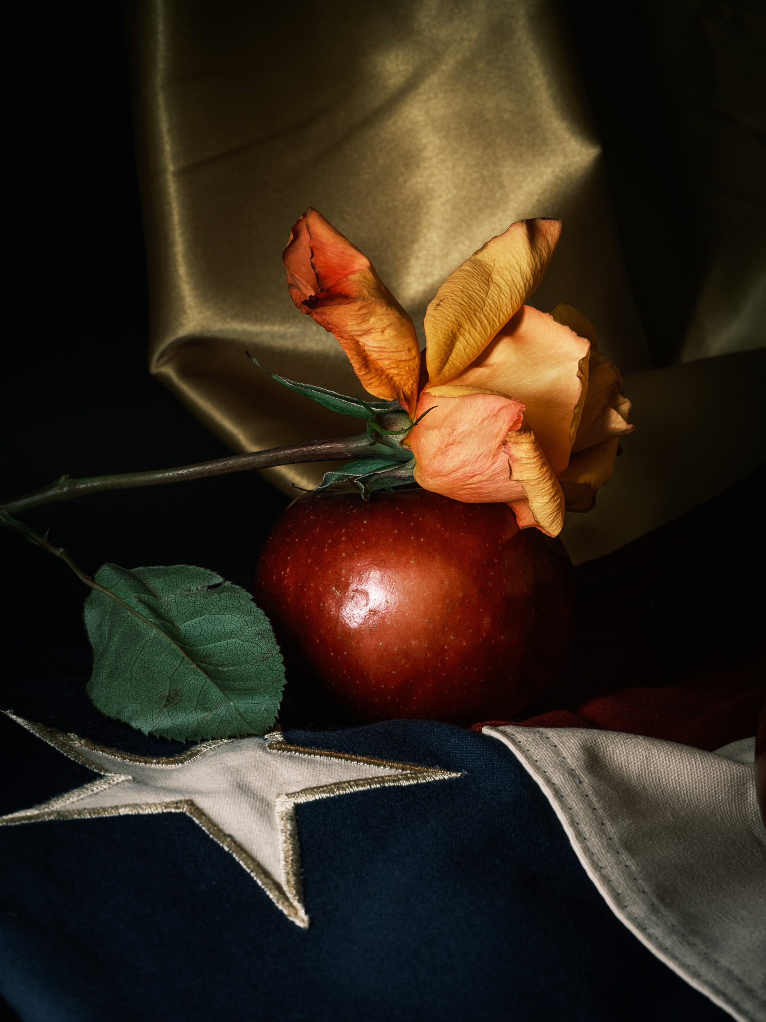 Still-life photography of flowers, texas flag, and a pink rose