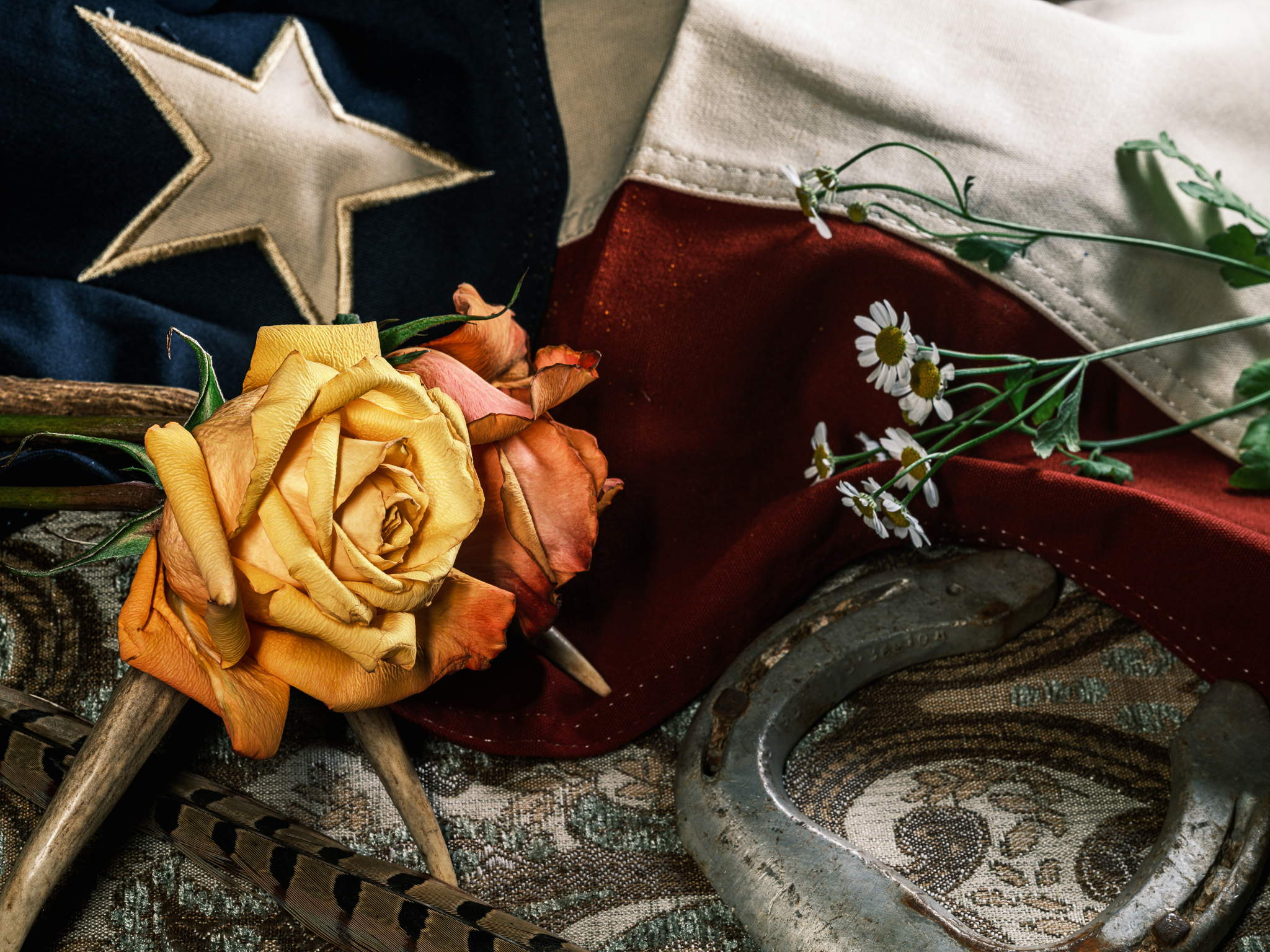 Still-life photography of flowers, texas flag, and a pink rose