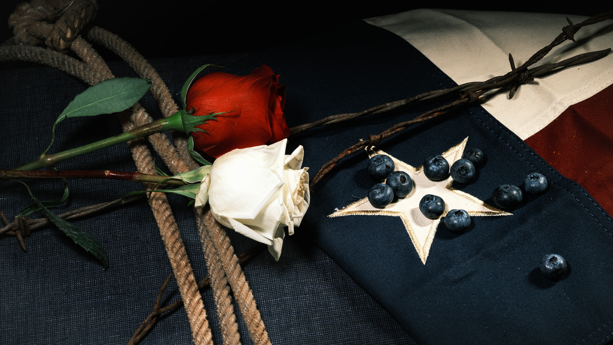 Still-life photography of blueberries, texas flag, red and white roses