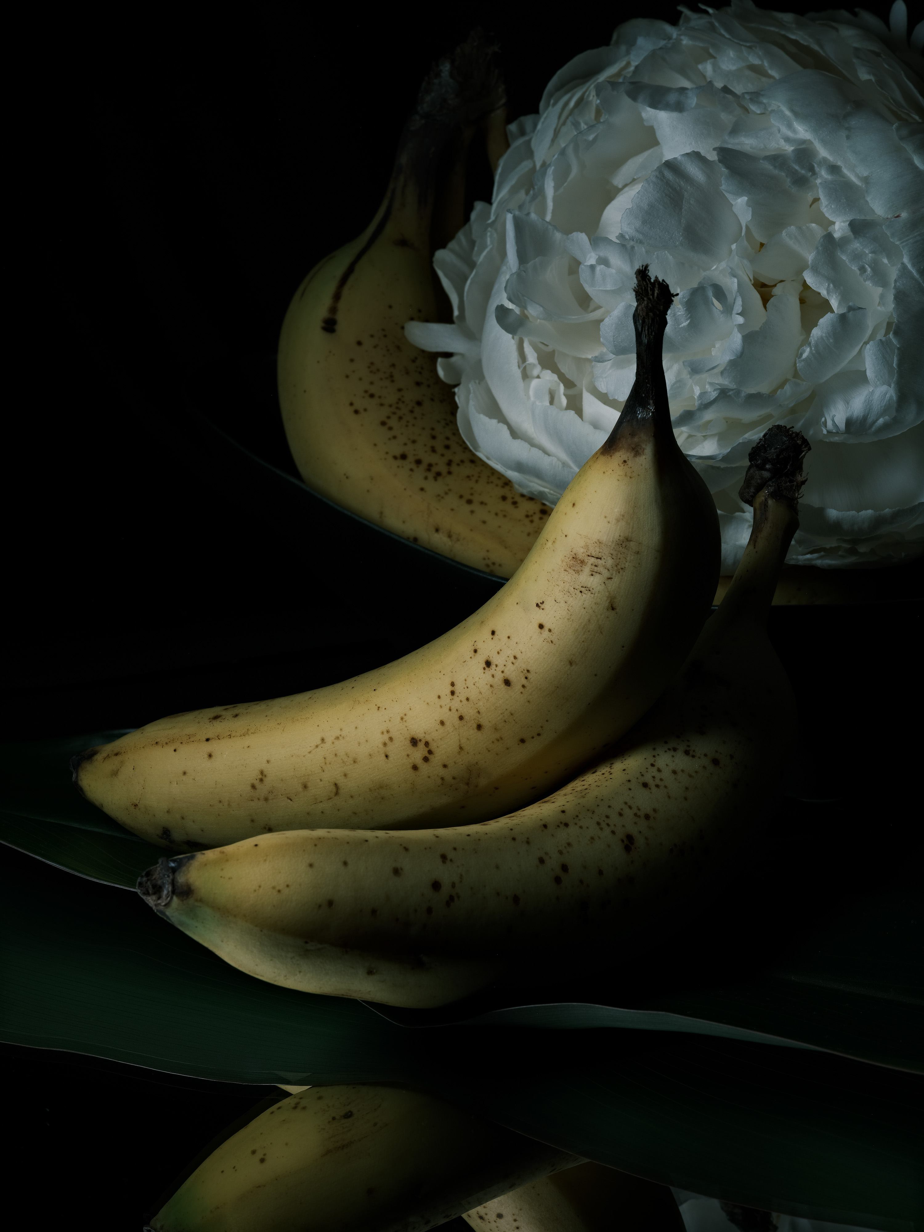 View still life photography of fruit and flowers with a fruit and cream dessert theme